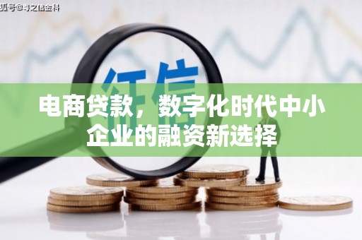 东西湖电商贷款，数字化时代中小企业的融资新选择