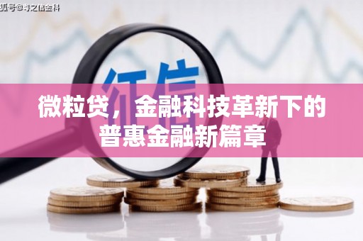 东西湖微粒贷，金融科技革新下的普惠金融新篇章