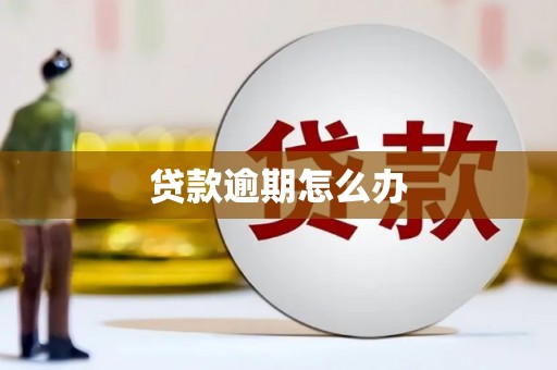 东西湖贷款逾期怎么办