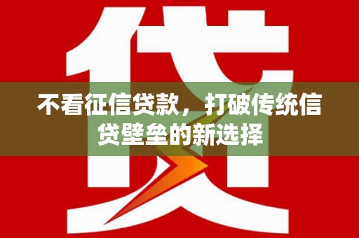 东西湖不看征信贷款，打破传统信贷壁垒的新选择