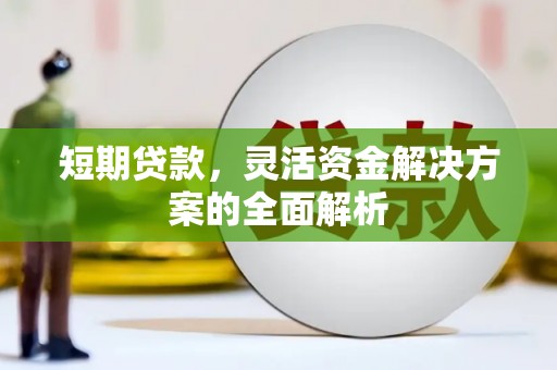 东西湖短期贷款，灵活资金解决方案的全面解析
