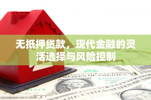 东西湖无抵押贷款，现代金融的灵活选择与风险控制