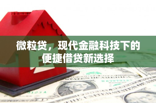 东西湖微粒贷，现代金融科技下的便捷借贷新选择