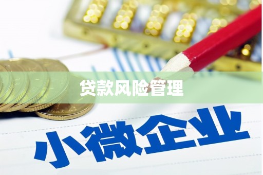 东西湖贷款风险管理