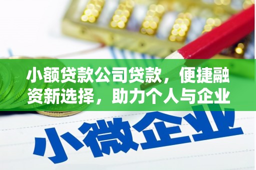 东西湖小额贷款公司贷款，便捷融资新选择，助力个人与企业成长