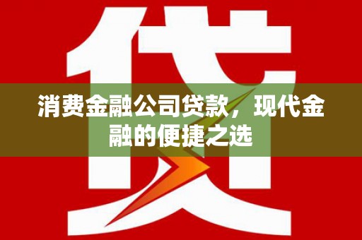 东西湖消费金融公司贷款，现代金融的便捷之选