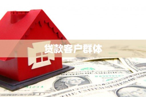 东西湖贷款客户群体