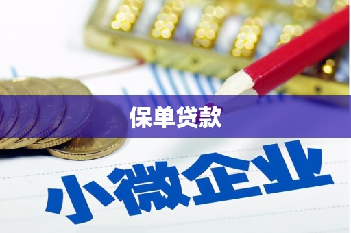 东西湖保单贷款
