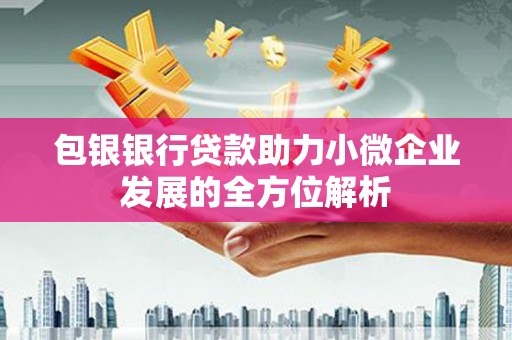 东西湖包银银行贷款助力小微企业发展的全方位解析