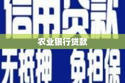 东西湖农业银行贷款