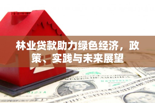 东西湖林业贷款助力绿色经济，政策、实践与未来展望