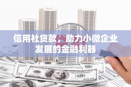 东西湖信用社贷款，助力小微企业发展的金融利器