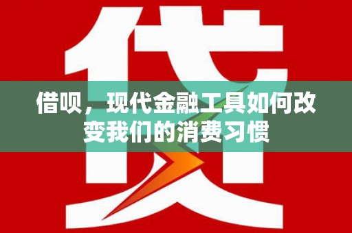 东西湖借呗，现代金融工具如何改变我们的消费习惯