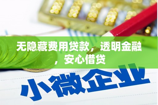 东西湖无隐藏费用贷款，透明金融，安心借贷