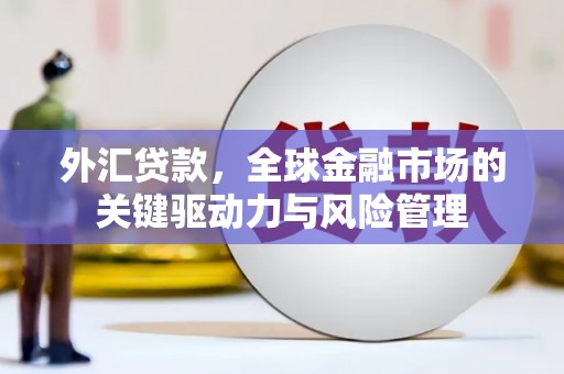 东西湖外汇贷款，全球金融市场的关键驱动力与风险管理