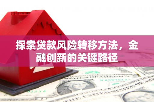 东西湖探索贷款风险转移方法，金融创新的关键路径