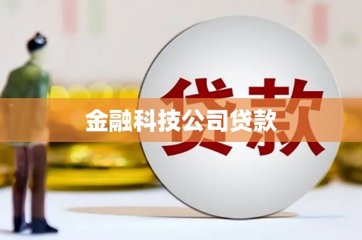 东西湖金融科技公司贷款