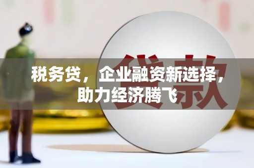 东西湖税务贷，企业融资新选择，助力经济腾飞