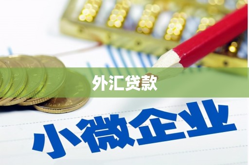 东西湖外汇贷款