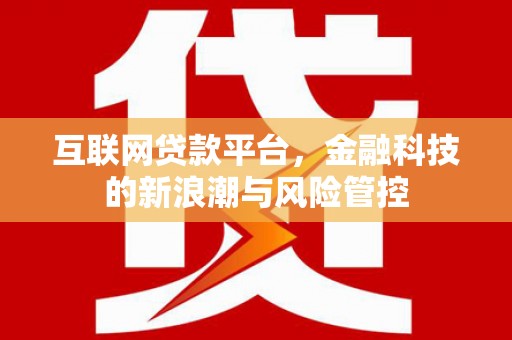 东西湖互联网贷款平台，金融科技的新浪潮与风险管控