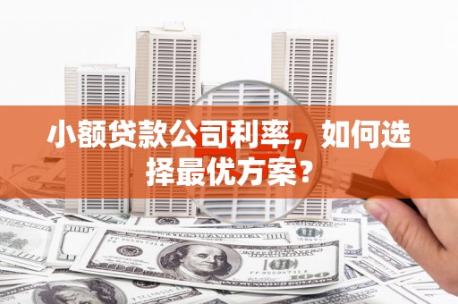 东西湖小额贷款公司利率，如何选择最优方案？