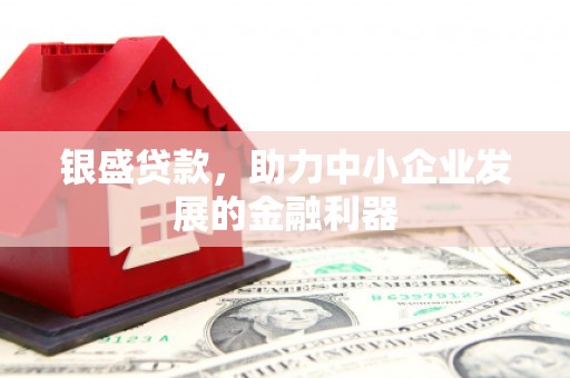 东西湖银盛贷款，助力中小企业发展的金融利器