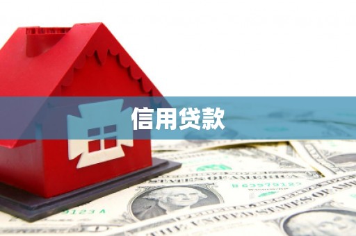 东西湖信用贷款