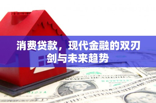 东西湖消费贷款，现代金融的双刃剑与未来趋势