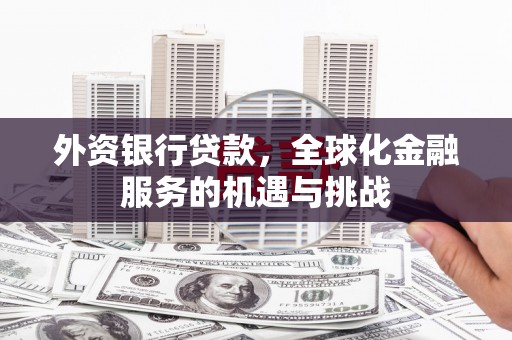 东西湖外资银行贷款，全球化金融服务的机遇与挑战