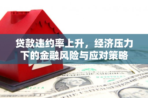东西湖贷款违约率上升，经济压力下的金融风险与应对策略