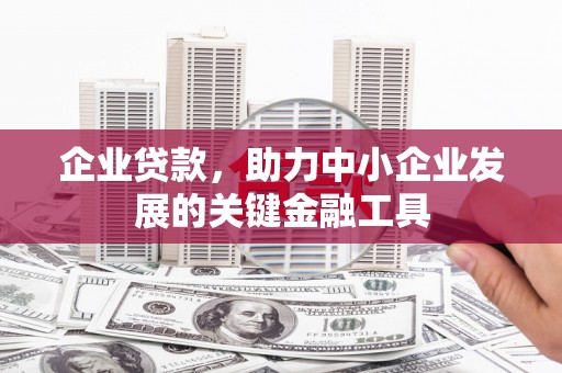 东西湖企业贷款，助力中小企业发展的关键金融工具
