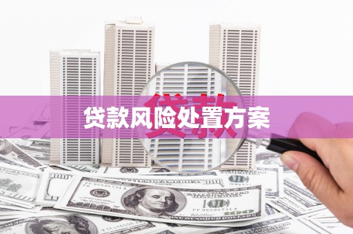 东西湖贷款风险处置方案