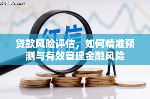 东西湖贷款风险评估，如何精准预测与有效管理金融风险