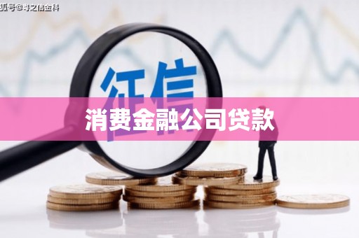 东西湖消费金融公司贷款