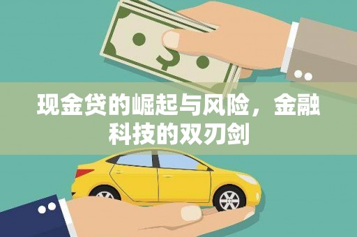 东西湖现金贷的崛起与风险，金融科技的双刃剑