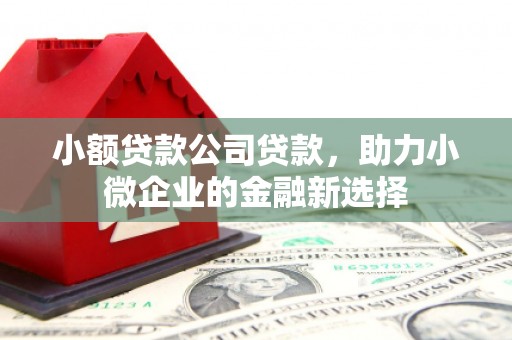 东西湖小额贷款公司贷款，助力小微企业的金融新选择