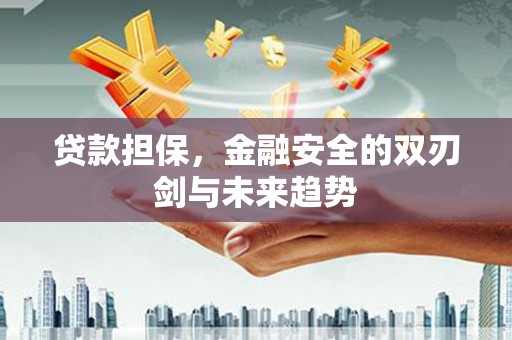 东西湖贷款担保，金融安全的双刃剑与未来趋势