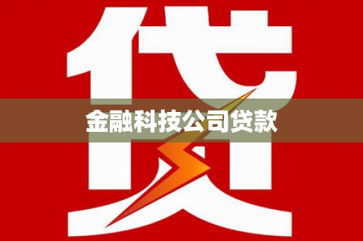 东西湖金融科技公司贷款