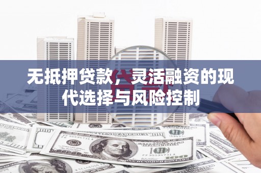 东西湖无抵押贷款，灵活融资的现代选择与风险控制