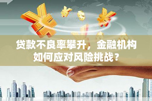 东西湖贷款不良率攀升，金融机构如何应对风险挑战？