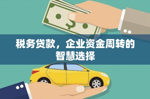 东西湖税务贷款，企业资金周转的智慧选择