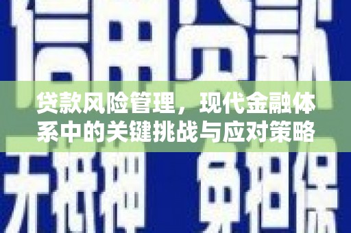 东西湖贷款风险管理，现代金融体系中的关键挑战与应对策略