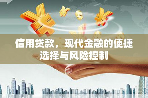东西湖信用贷款，现代金融的便捷选择与风险控制