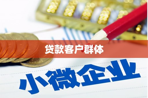 东西湖贷款客户群体