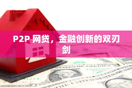 东西湖P2P 网贷，金融创新的双刃剑