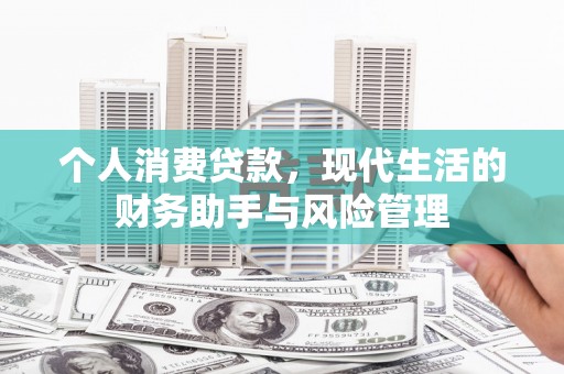 东西湖个人消费贷款，现代生活的财务助手与风险管理