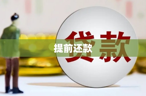 东西湖提前还款