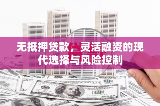 东西湖无抵押贷款，灵活融资的现代选择与风险控制