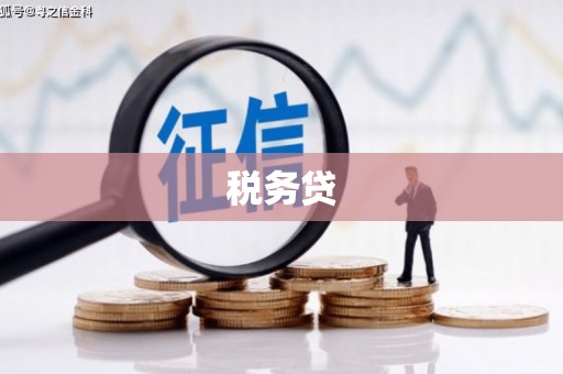 东西湖税务贷