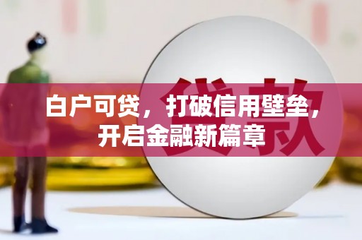 东西湖白户可贷，打破信用壁垒，开启金融新篇章